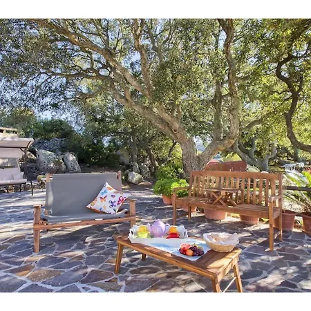 Alghero, Villa Olive Three With Swimming Pool For Perfect Relaxation Putifigari