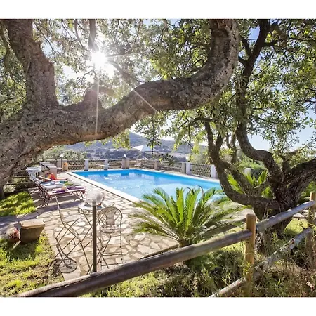 Villa Alghero, Villa Olive Three With Swimming Pool For Perfect Relaxation Putifigari